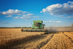 Previsão de VBP da agropecuária é de R$ 199 bi