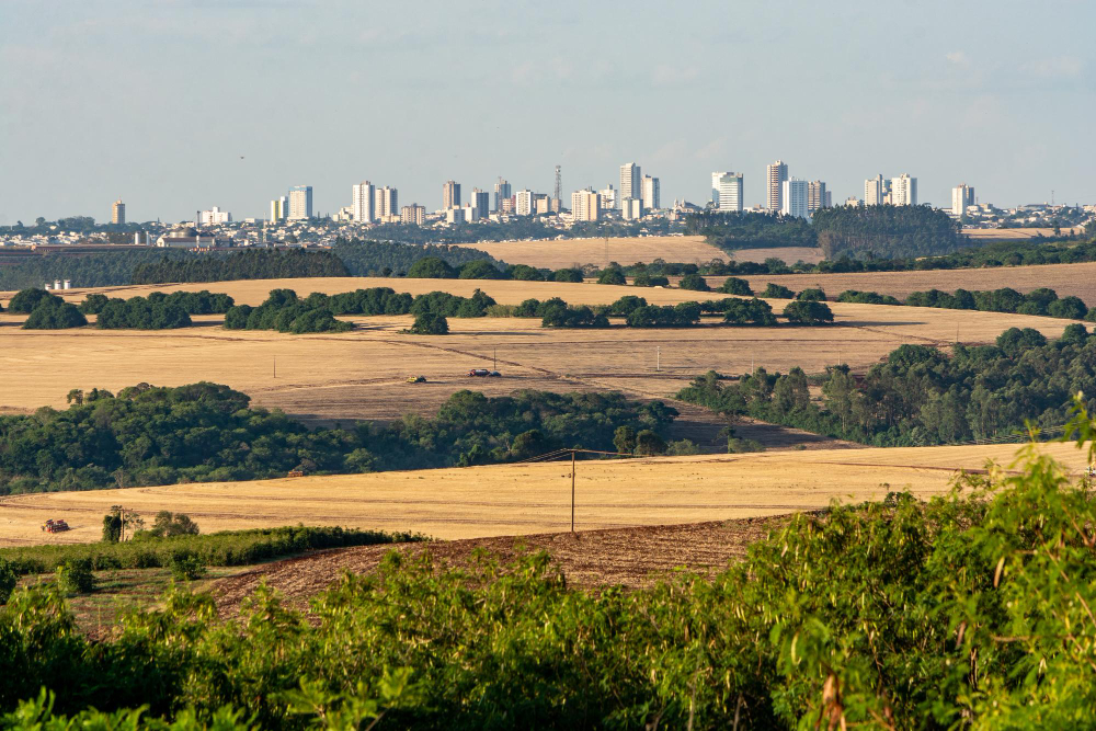 Paisagem rural com plantações e áreas verdes em primeiro plano, contrastando ao fundo com prédios altos de uma cidade