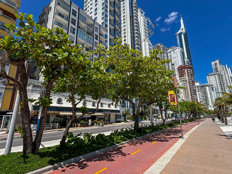 Avenida arborizada em Balneário Camboriú com ciclovia, calçada ampla e prédios altos ao fundo em dia ensolarado.